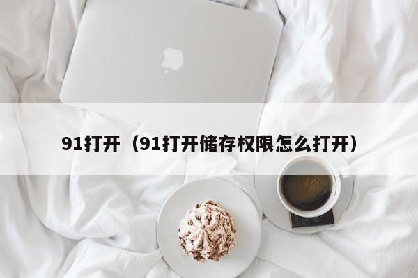 91打开（91打开储存权限怎么打开）