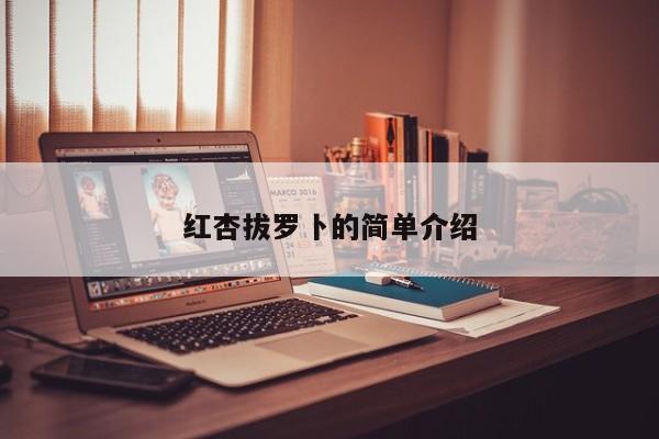 红杏拔罗卜的简单介绍